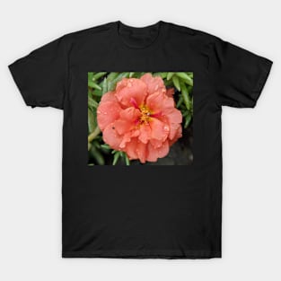 Delicate Coral Flower Photographic Image T-Shirt